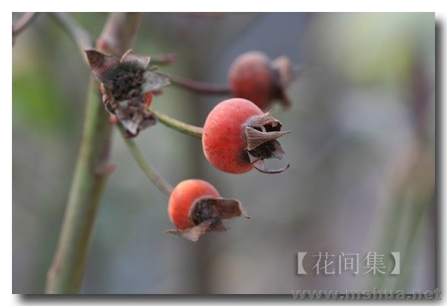 IMG_0211 ����.jpg