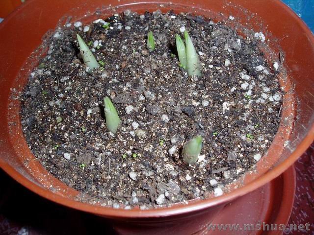 ������С 071230�����β.JPG