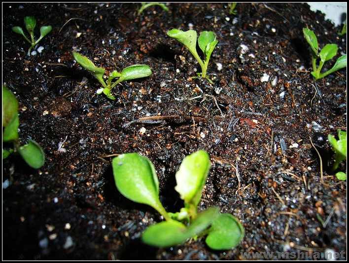 ��̨-���ҿ� ��������4_nEO_IMG.jpg