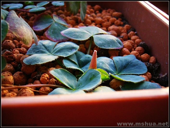 �� ��-2007.12.31_nEO_IMG.jpg