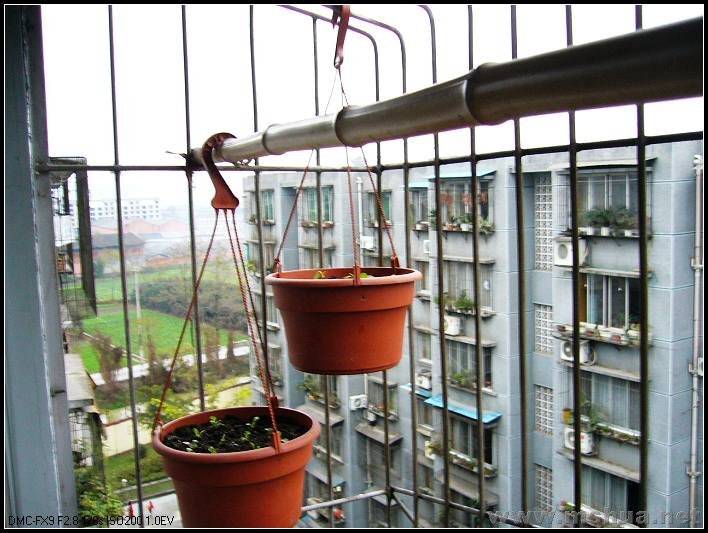 ��̨-���� ��ţ_nEO_IMG.jpg