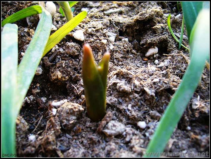 ���� ����-2007.12.31_nEO_IMG.jpg