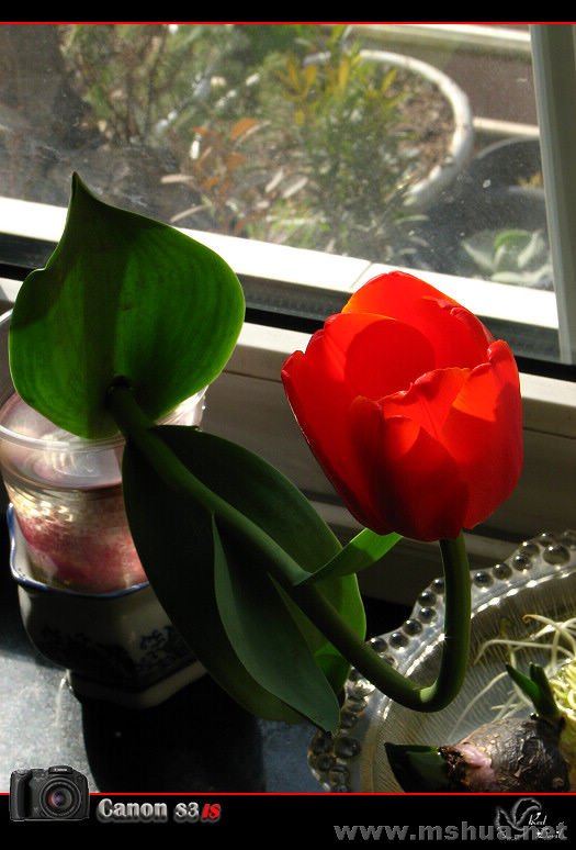 IMG_1169.JPG