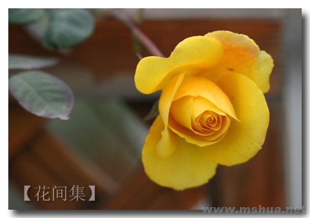 IMG_0300 ����.jpg