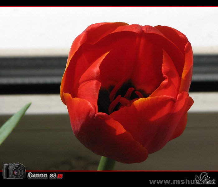 IMG_1167.JPG