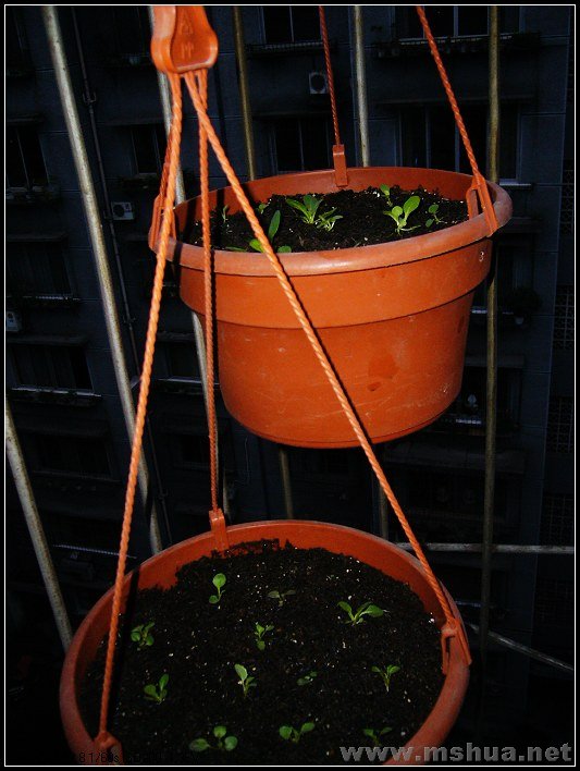 ��̨-���� ��ţ2_nEO_IMG.jpg