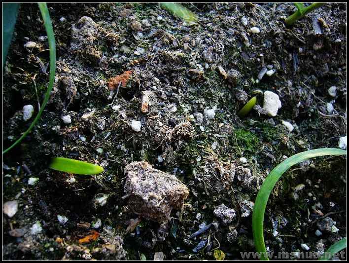 ���� տ�� ����-2007.12.31_nEO_IMG.jpg