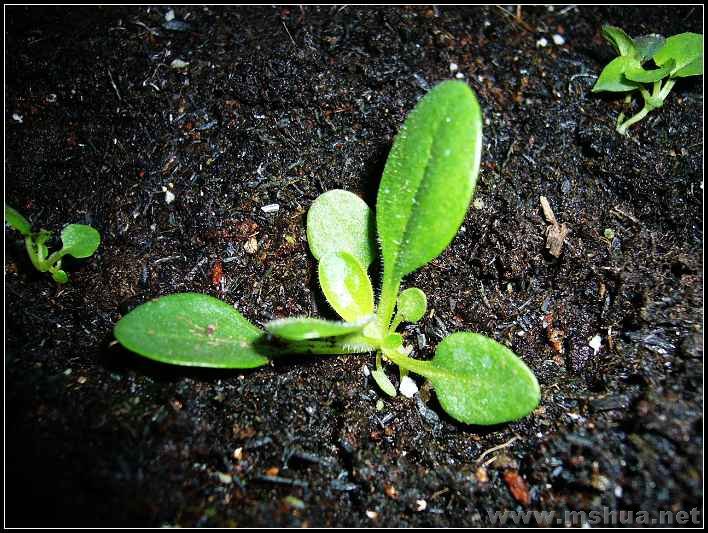 ��̨-���� ��ţ4_nEO_IMG.jpg