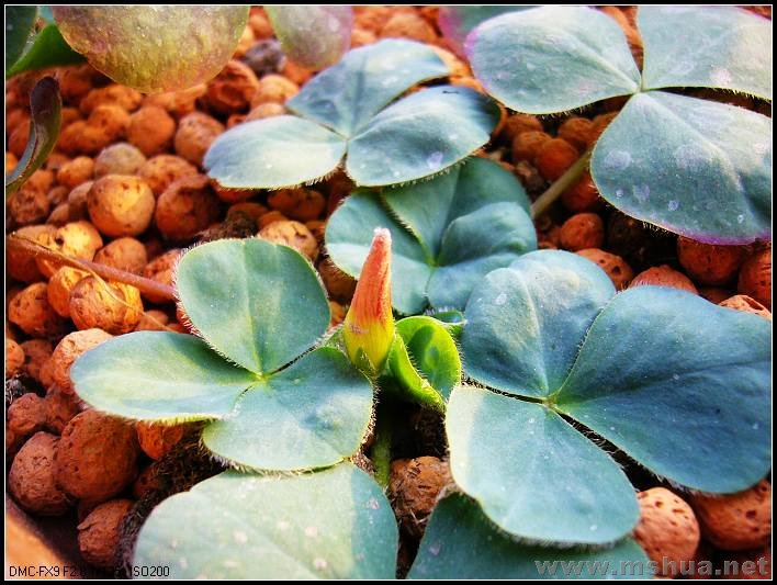 �� ��2-2007.12.31_nEO_IMG.jpg