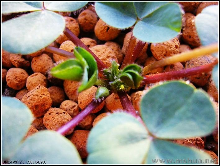 �� ��4-2007.12.31_nEO_IMG.jpg