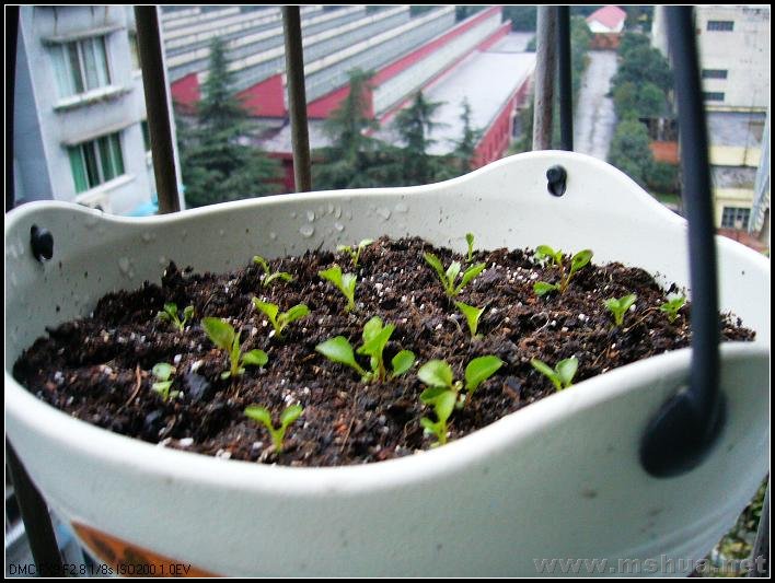 ��̨-���ҿ� ��������3_nEO_IMG.jpg