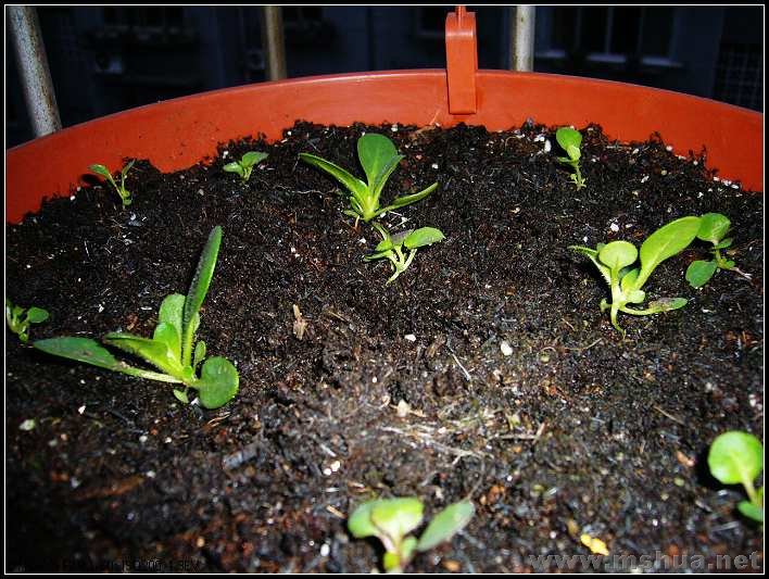 ��̨-���� ��ţ3_nEO_IMG.jpg