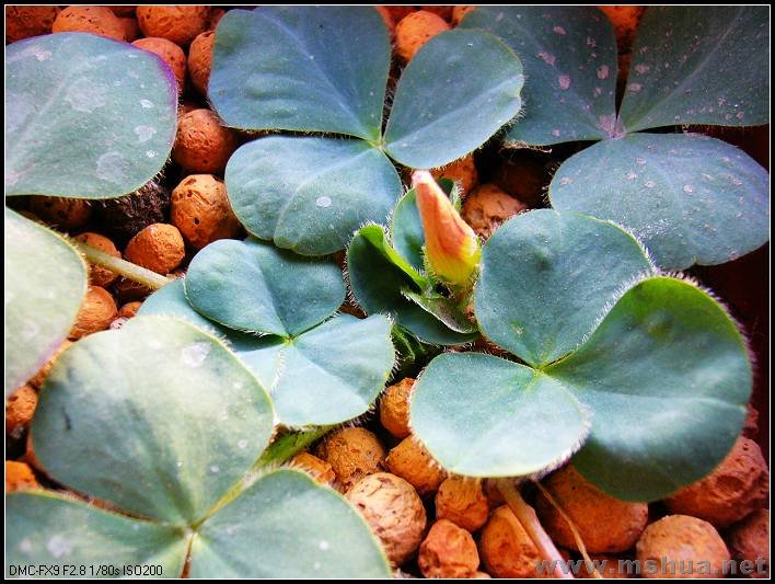 �� ��3-2007.12.31_nEO_IMG.jpg