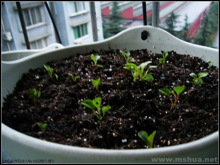 ��̨-���ҿ� ��������2_nEO_IMG.jpg