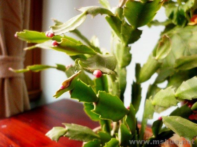 �컨����ͷ��