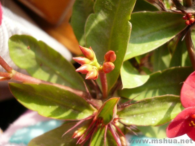 6��Ļ���Ŷ