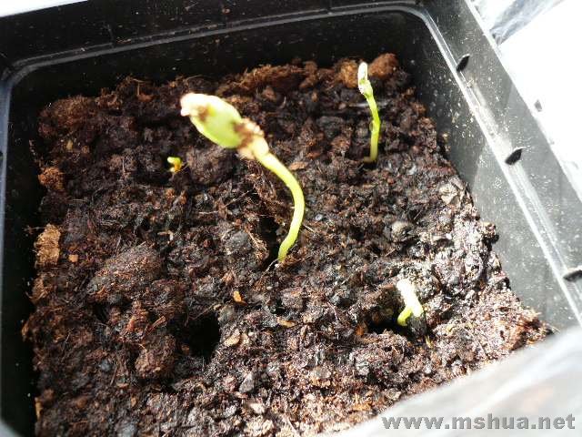 �л���ݣ���ѿ���Ͽ�����