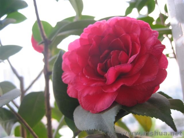 ȥ�꿪�ı�����õ��