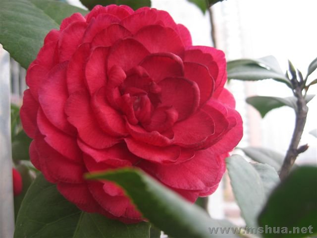 ȥ�꿪�ı�����õ��