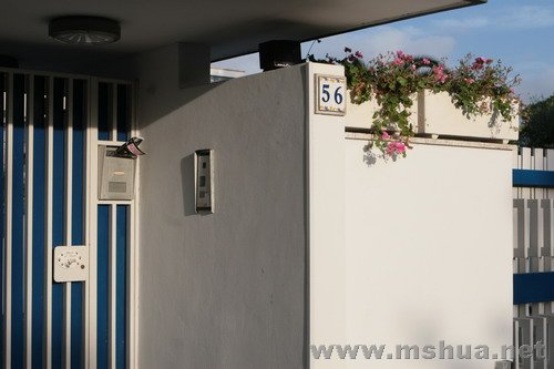 Ư��������