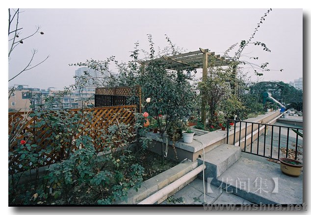 CNV000070 ����.jpg