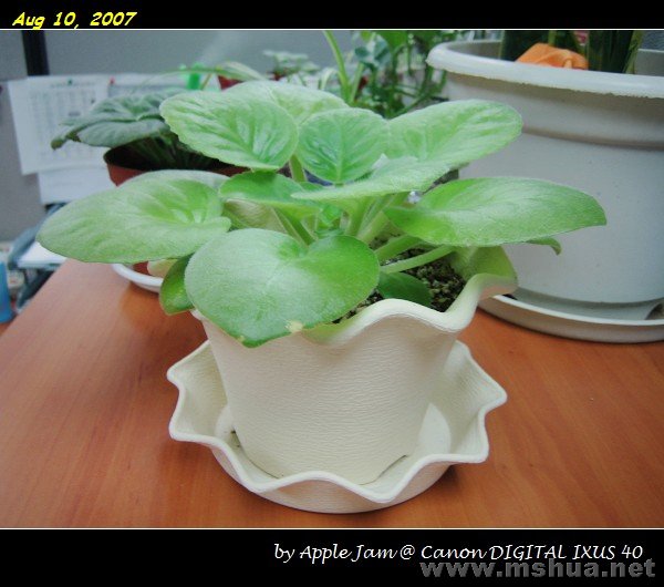 7�°�ҵ��칫��