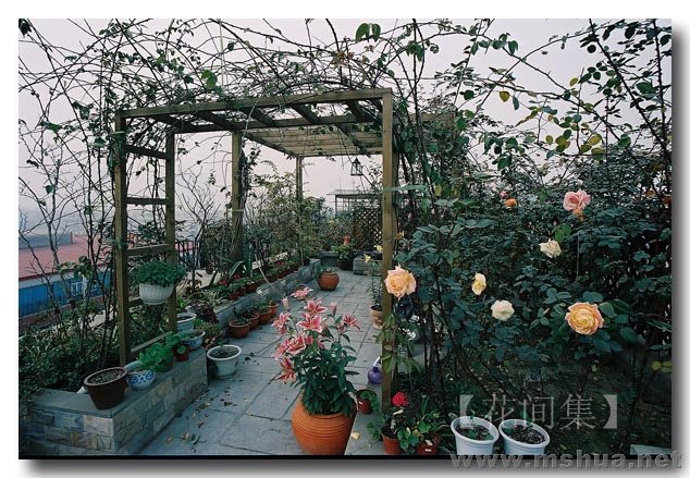 CNV000071 ����.jpg