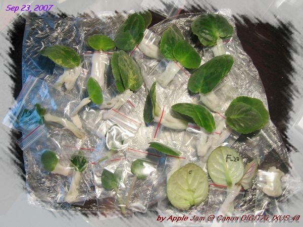 ���ҽ�����Ĵ����