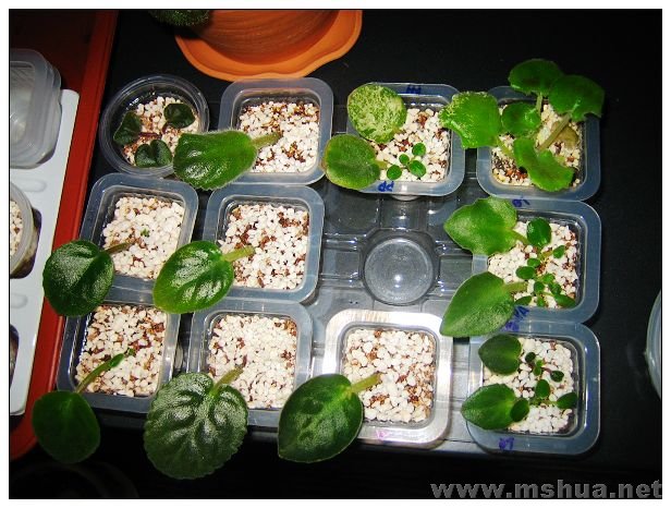 �������ѷ�����