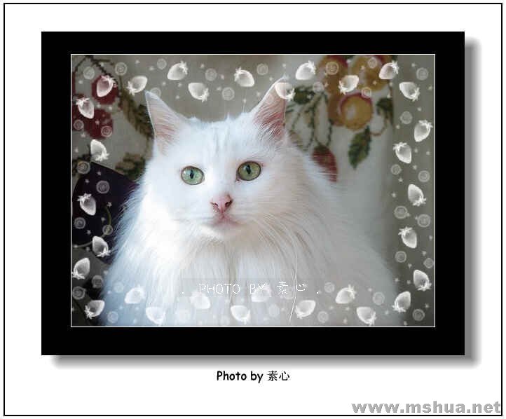 �����Ҽ������������İ���С����С����~~~��ʮ������Ŷ~��