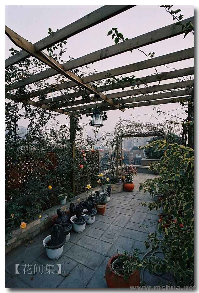 CNV000076 ����.jpg