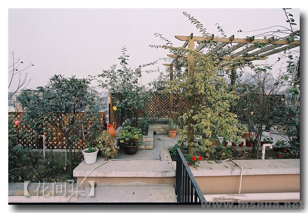 CNV000072 ����.jpg