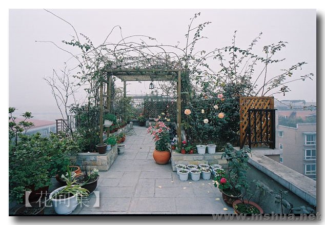 CNV000065 ����.jpg