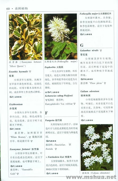 �½��ļ��� (2)006_nEO_IMG.jpg