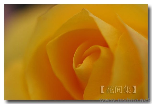 IMG_0609 ����.jpg