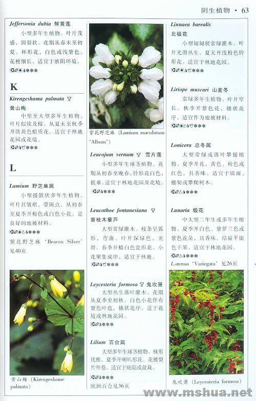 �½��ļ��� (2)008_nEO_IMG.jpg