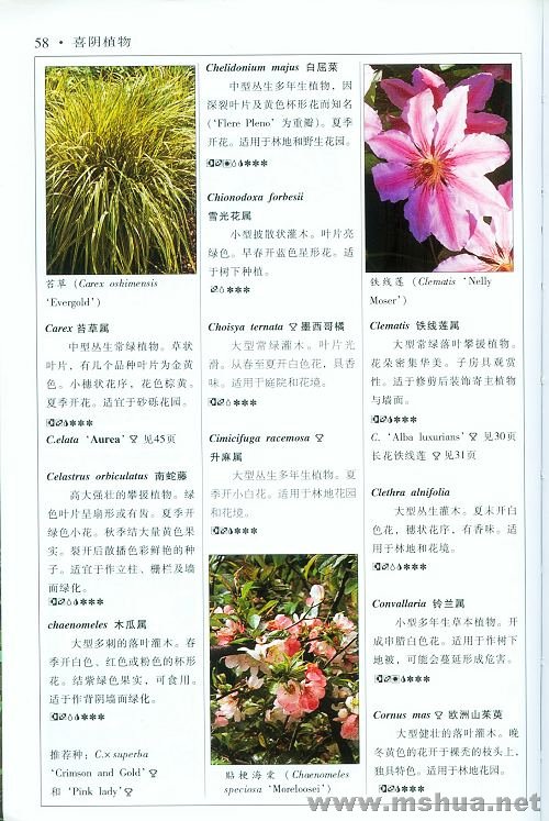 �½��ļ��� (2)004_nEO_IMG.jpg