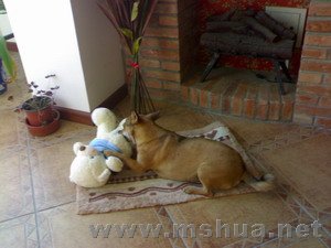 ҧһ�п�����Ķ���.