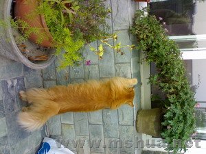 ������Բ�