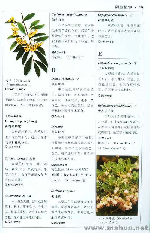 �½��ļ��� (2)005_nEO_IMG.jpg