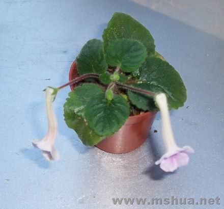 100_4086.JPG