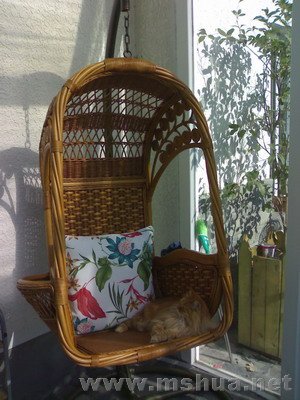 ��ҡ�������.