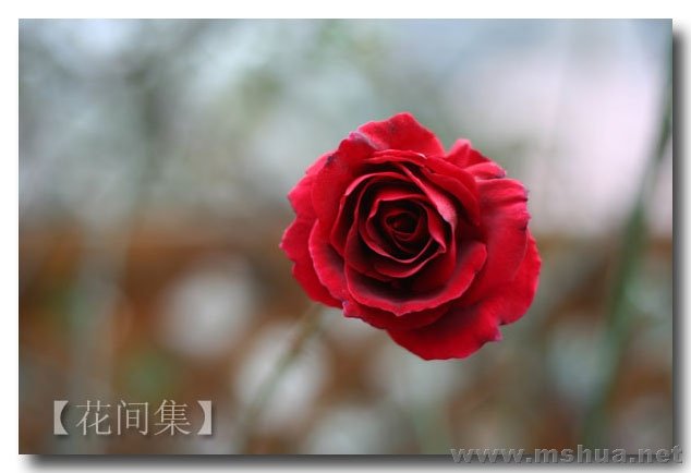 IMG_0536 ����.jpg