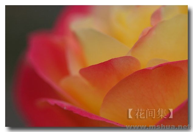 IMG_0592 ����.jpg