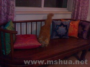 �ؿ������ȽϺ�