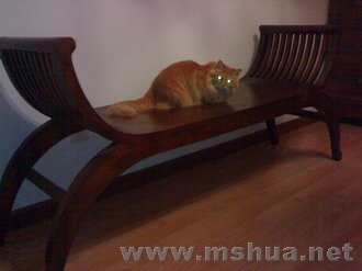 �۾�̫��,�ֱ�������