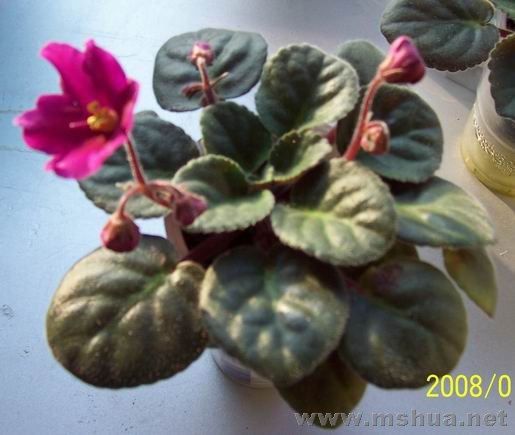 100_4083.JPG