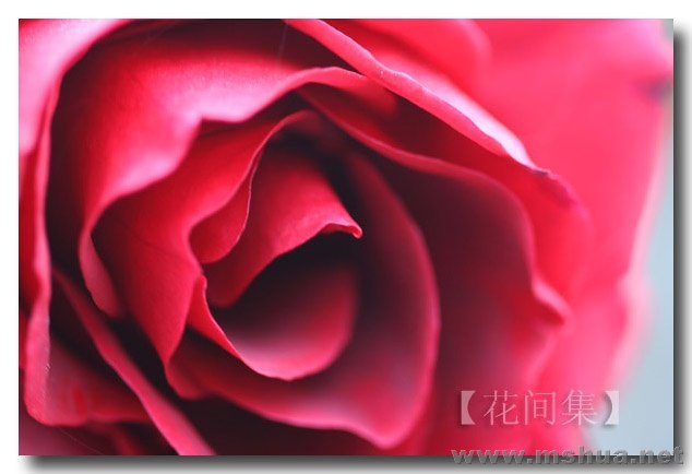 IMG_0586 ����.jpg