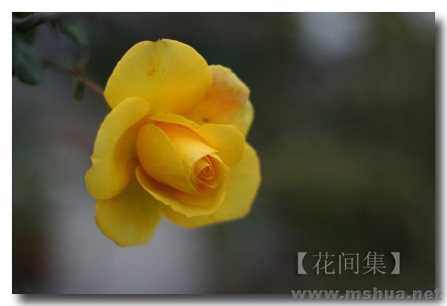 IMG_0543 ����.jpg