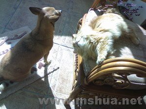 ɳɳ���������?